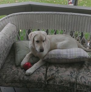 Meet your Posher, Jan